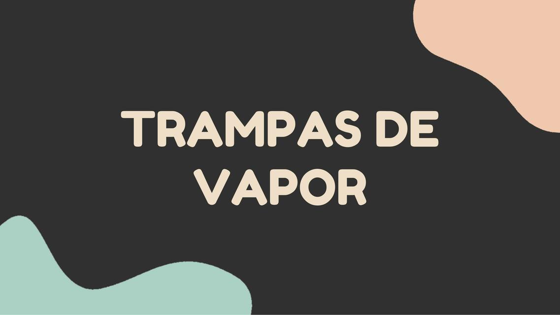 Trampas de Vapor