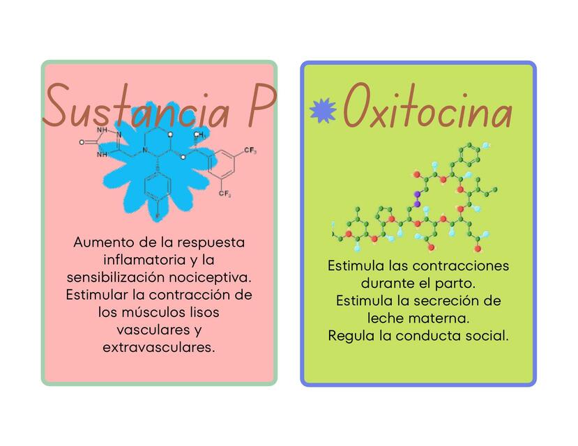 Neurotransmisores