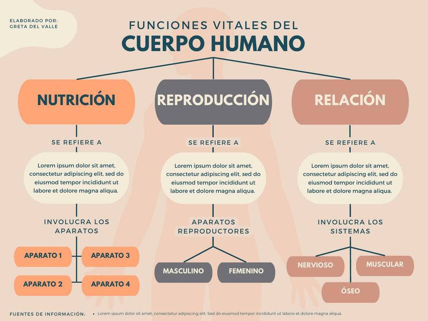 Funciones Vitales Del Cuerpo Humano Udocz 7868