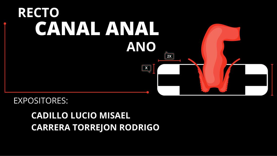 Recto y Canal Anal | uDocz