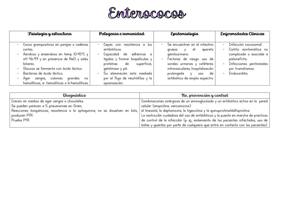 Enterococos