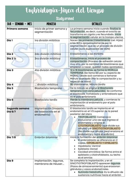 Embriología Linea  Del Tiempo UNLP 