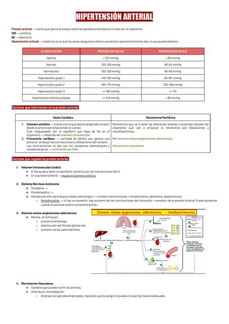 Hipertensión Arterial