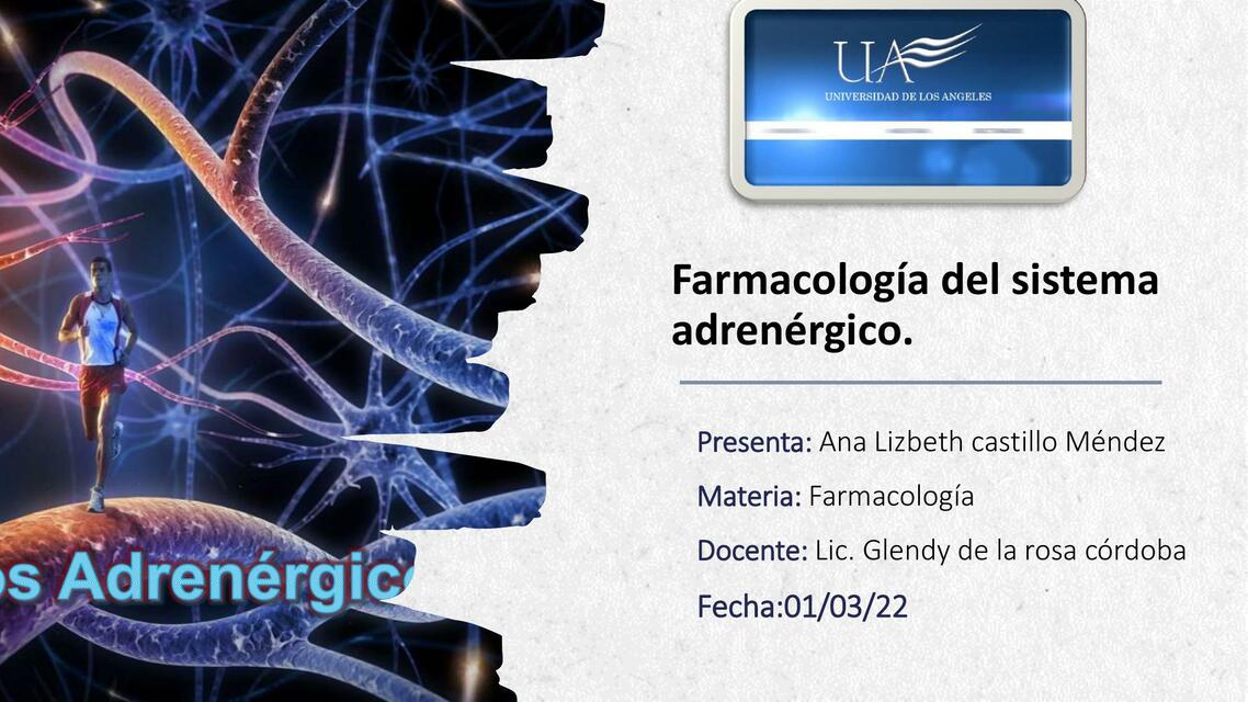 Farmacología del Sistema Adrenérgico