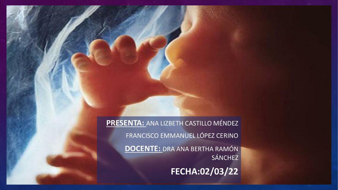 Fisiología Fetal 