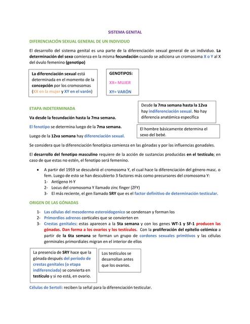 Repaso Embriología