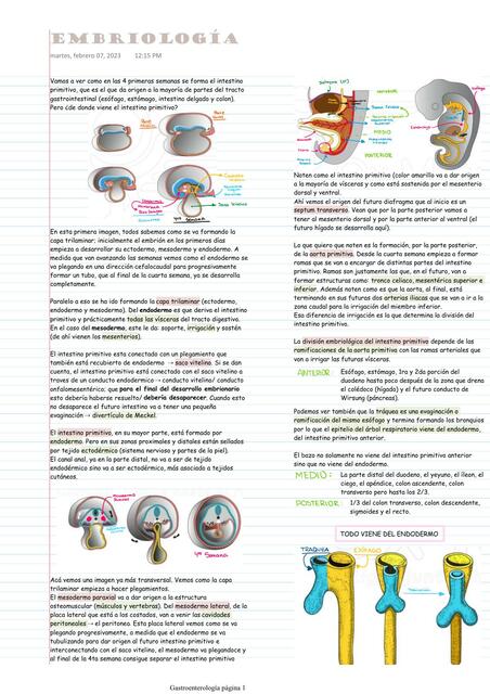 Embriología Gastrointestinal