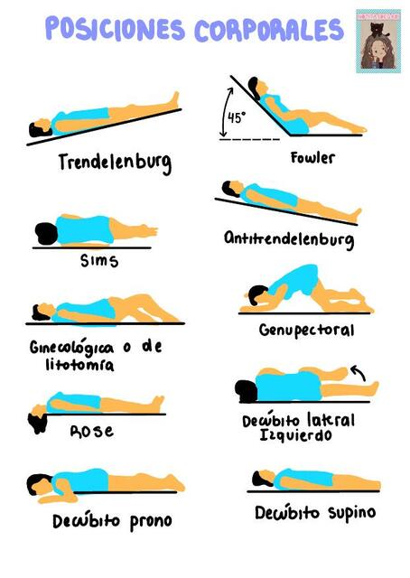 Posiciones Corporales Resumenes De Anatomia Y Fisiologia Anatomia Y ...