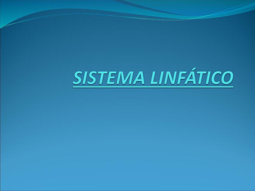 Sistema linfático