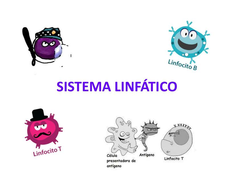 Linfatico