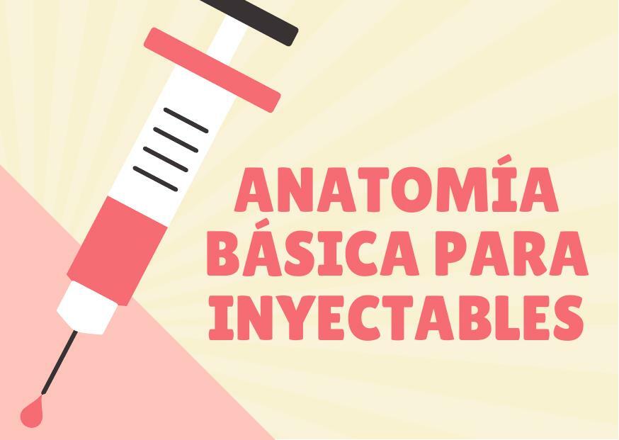 Anatomía básica para inyectables 