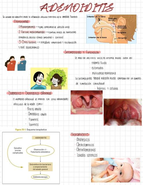 Otorrinolaringología   