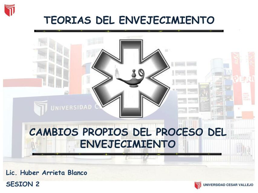 Cambios propios del proceso del envejecimiento 