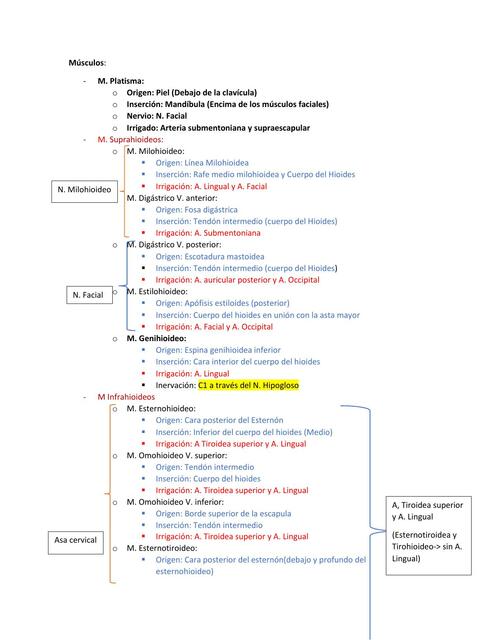 Repaso del Examen de Cuello