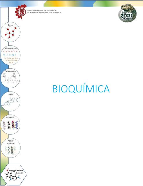 Bioquímica 