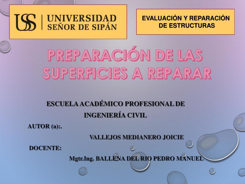 PREPARACIÓN DE LAS PRINCIPALES SUPERFICIES A REPARAR