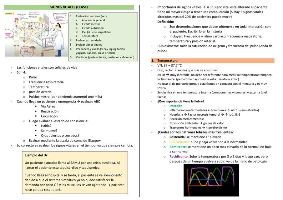 Funciones Vitales