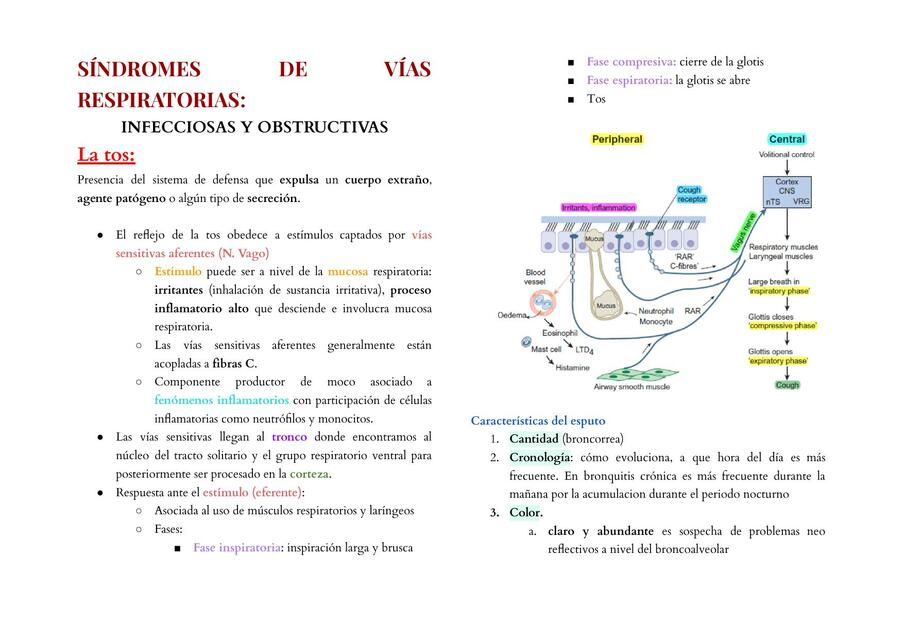 Síndromes de Vías Respiratorias