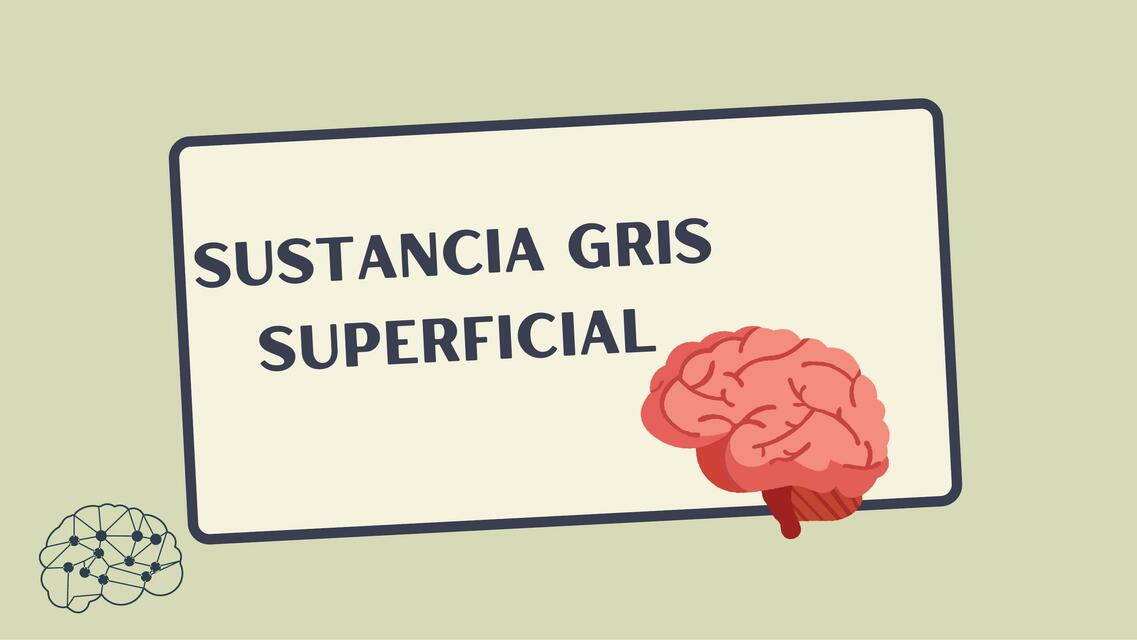 Sustancia  Superficial 