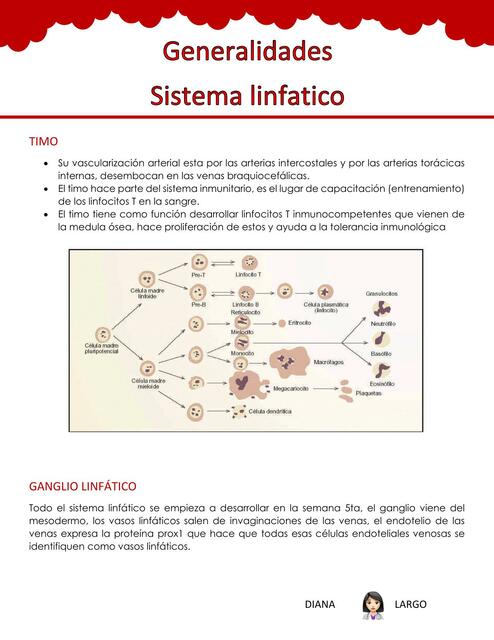 Generalidades sistema linfático 