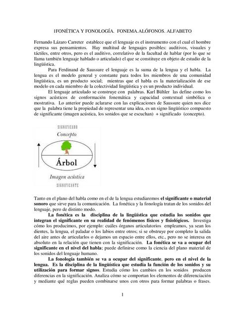 Fonética y fonología: fonema, alófonos y alfabeto