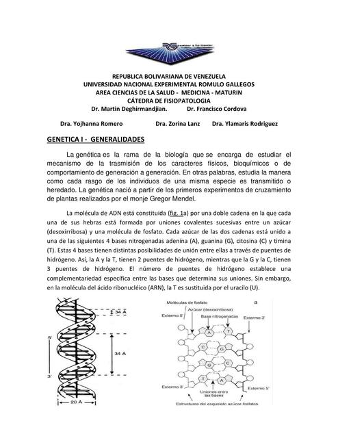 Genética generalidades
