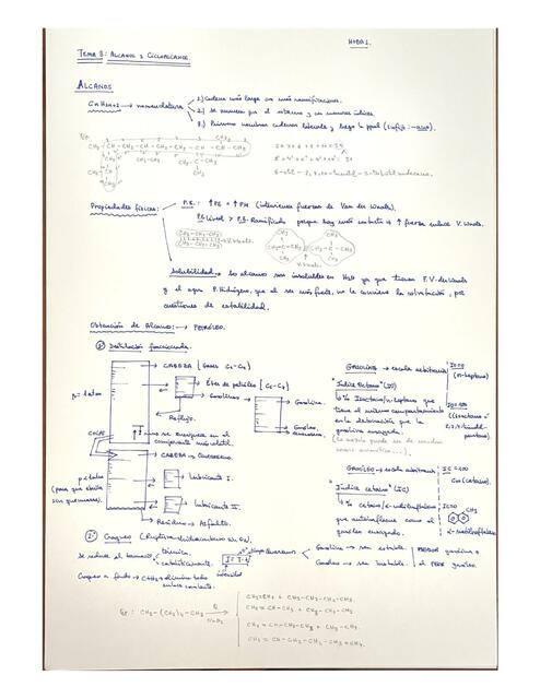 Alcanos y Cicloalcanos 