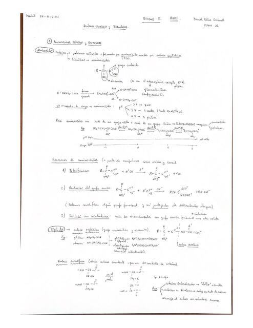 Química Orgánica y Bioquímica 