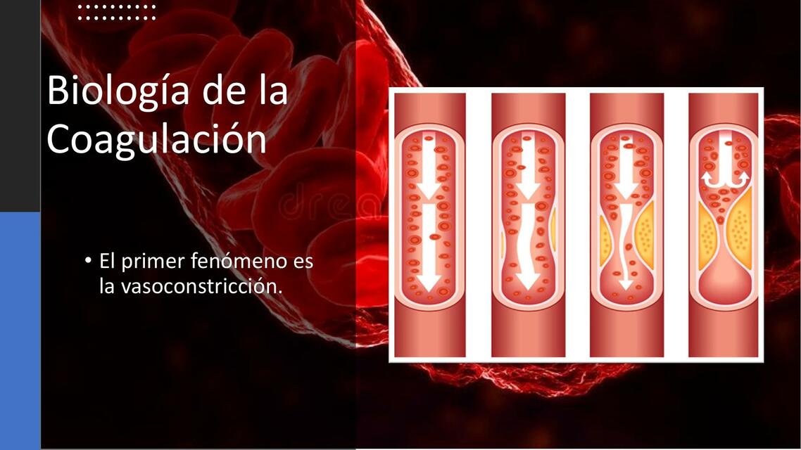 Biología de la coagulación 