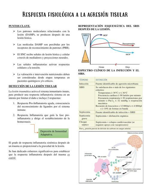 Respuesta fisiológica a la agresión tisular 