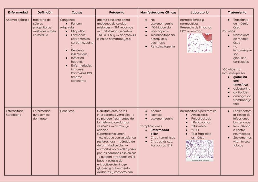 Resumen anemias