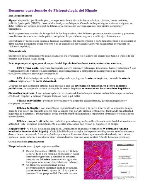 Resumen-Cuestionario de Fisiopatología del Hígado