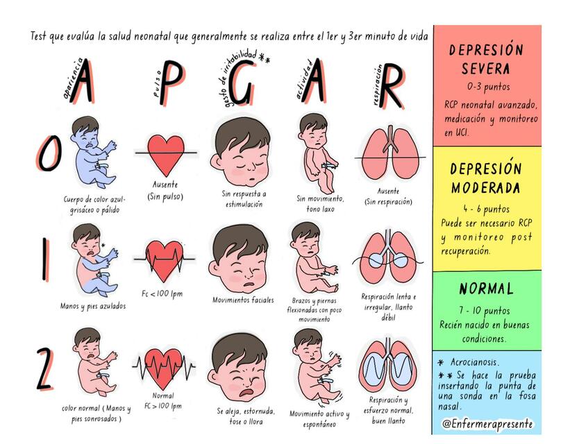 APGAR 