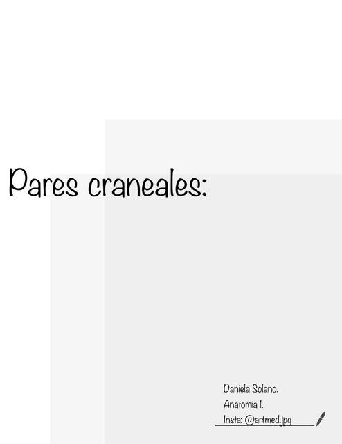 Pares Craneales