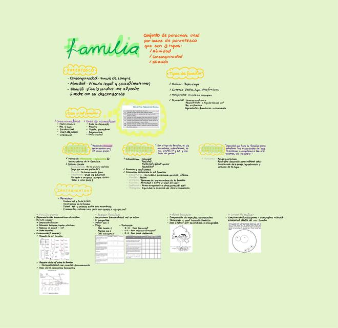 Resumen Familia Comunitaria