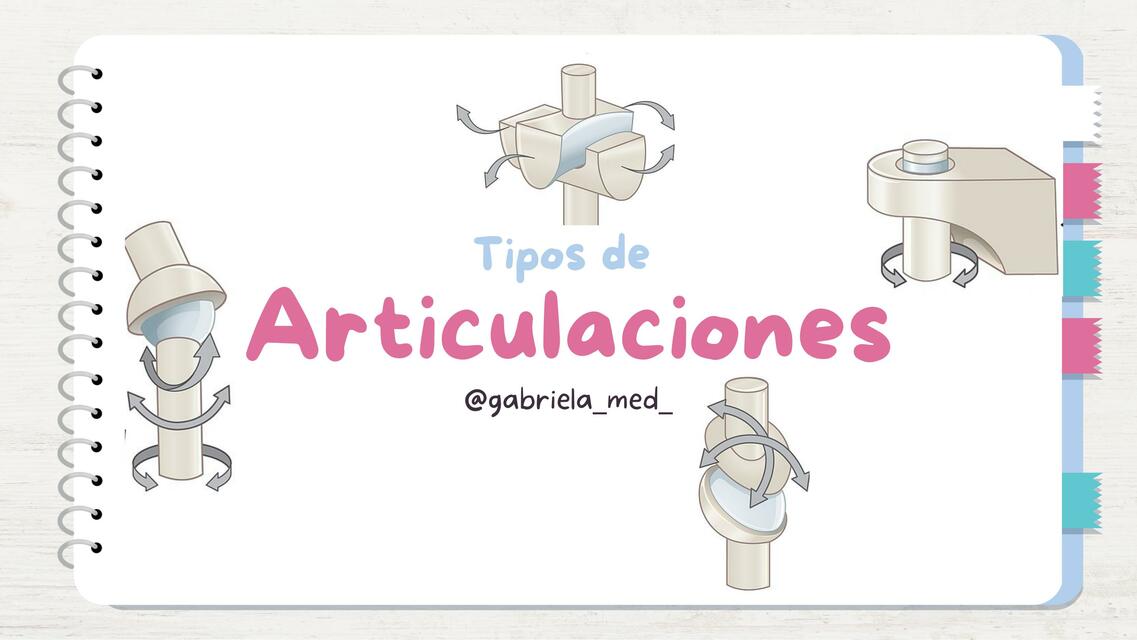 Tipos de Articulaciones 