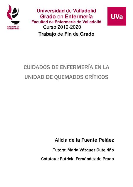 Cuidados de Enfermería en la Unidad de Quemados Críticos