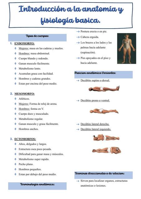 Anatomia Resumen ERA 1