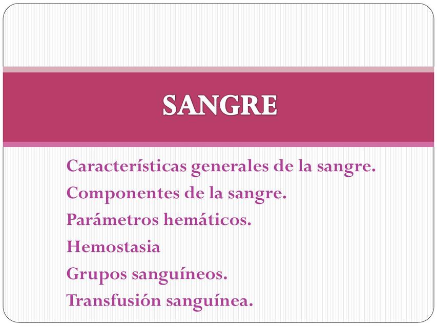 La Sangre Enfermería Udocz