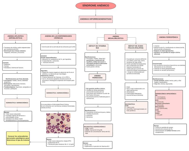 Anemias  Hiporregenerativas  (Síndrome  Anémico )