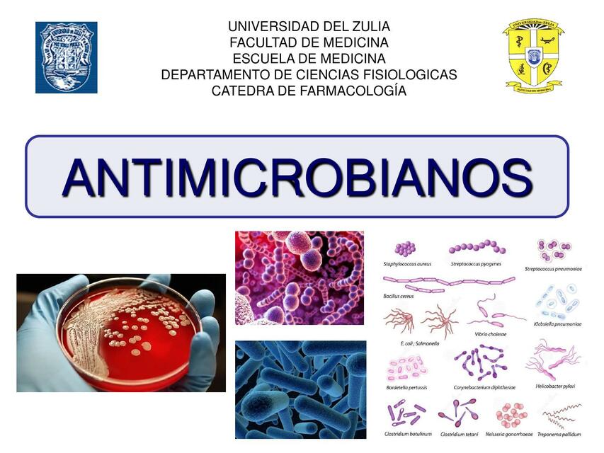 Antimicrobianos 