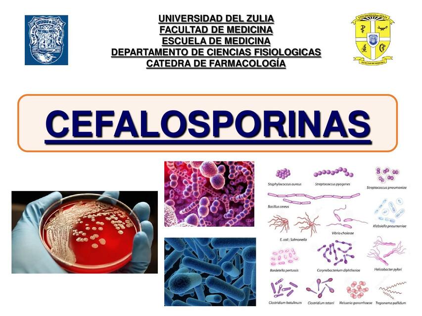 Cefalosporinas 