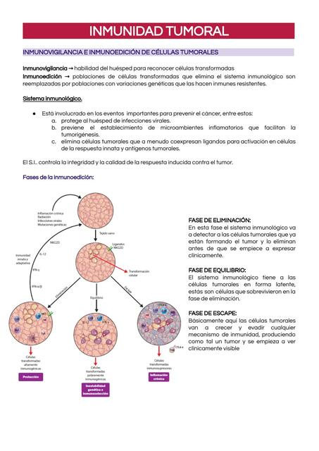 Inmunidad  Tumoral  1