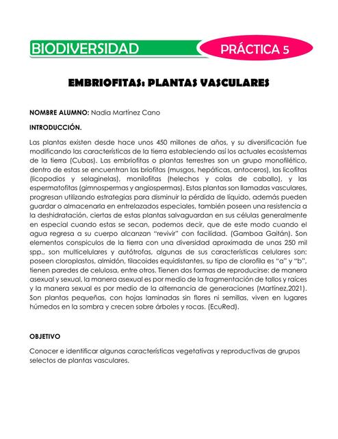 Embriofitas: Plantas Vasculares 