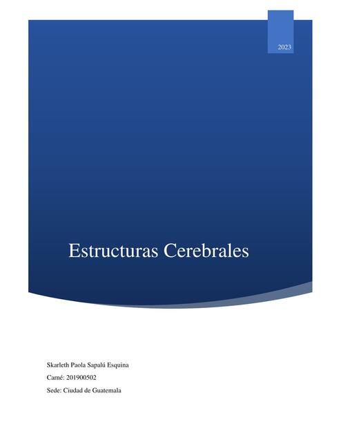 Estructuras Cerebrales 