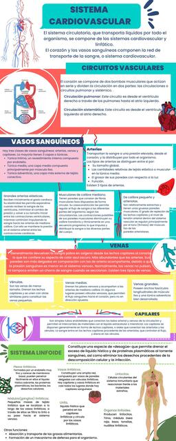 Sistema cardiovascular 