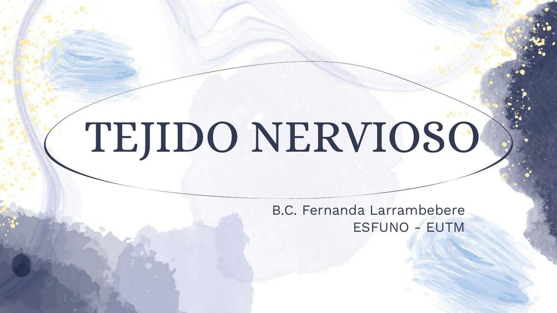 Tejido Nervioso