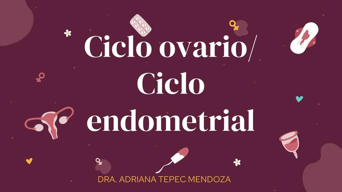 Ciclo Ovarico/ Ciclo Endometrial 