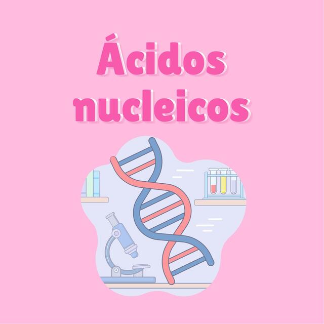 Ácidos nucleicos