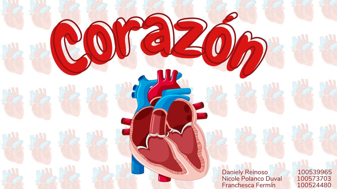 El corazón